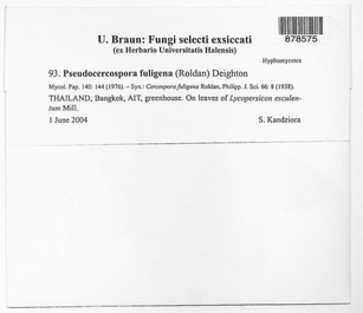Pseudocercospora fuligena image